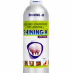 Shining-H