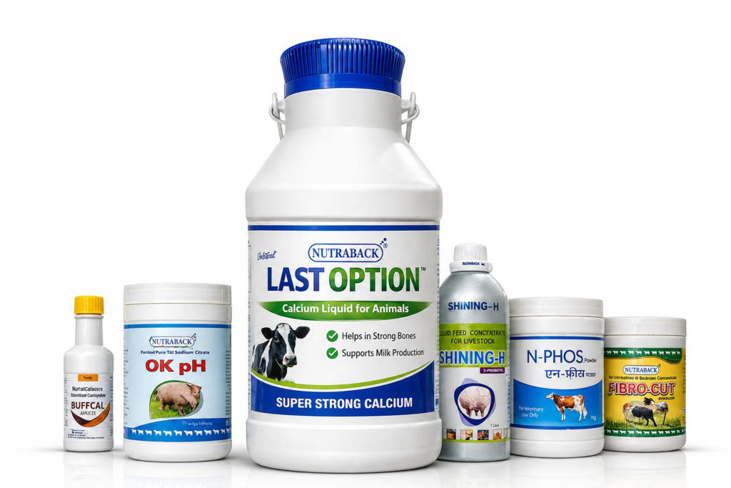 Best products