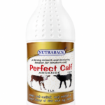 Perfect Calf calf growth supplement by Nutraback Pharmaceuticals