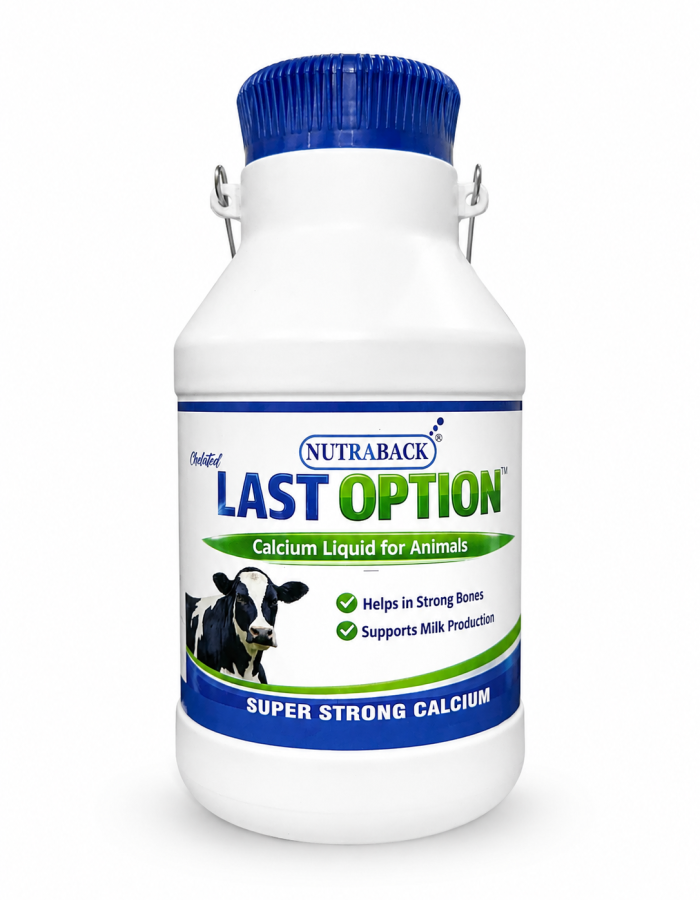 5 litre calcium for cow and buffalo best calcium in india