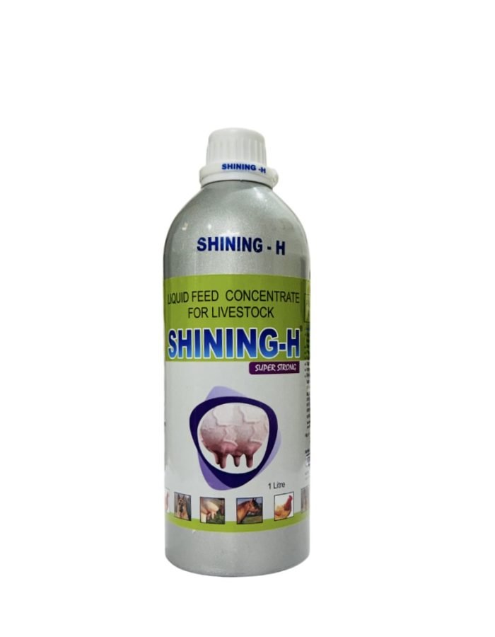 Best majestic and udder size increase tonic .