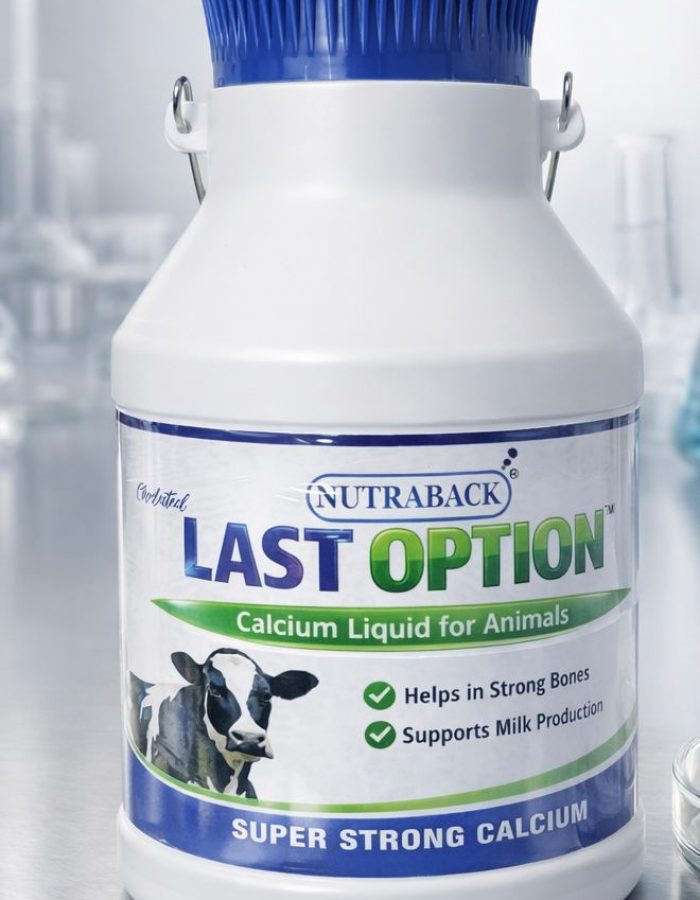 Best calcium for cow & buffalo